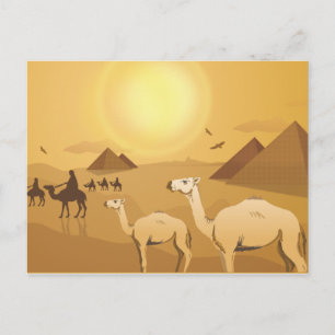 Egyptian desert camels postcard