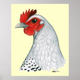 Egyptian Fayoumi: Silver Hen Poster