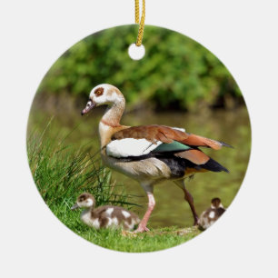 Egyptian Geese and chicks Ceramic Tree Decoration