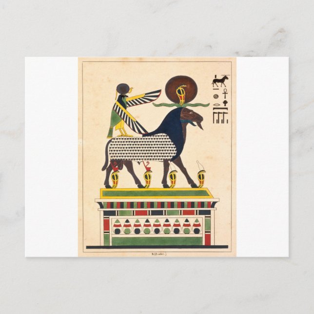 Egyptian god Amun-Ra Postcard (Front)