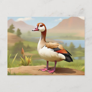Egyptian Goose by water Postcard