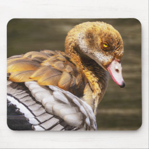 Egyptian Goose Close-Up Wildlife Bird Nature Art  Mouse Pad