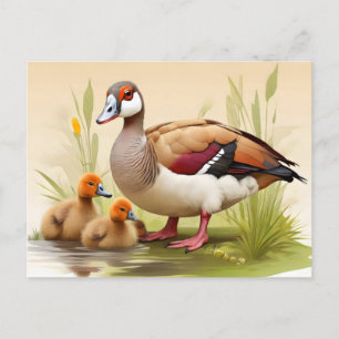 Egyptian Goose with ducklings Postcard