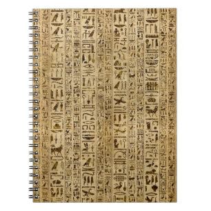Egyptian hieroglyphs on papyrus notebook