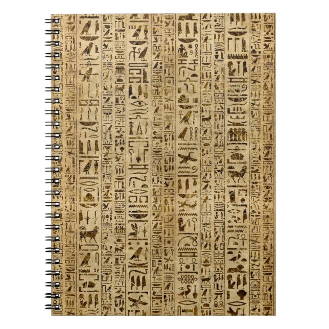 Egyptian hieroglyphs on papyrus notebook (Front)