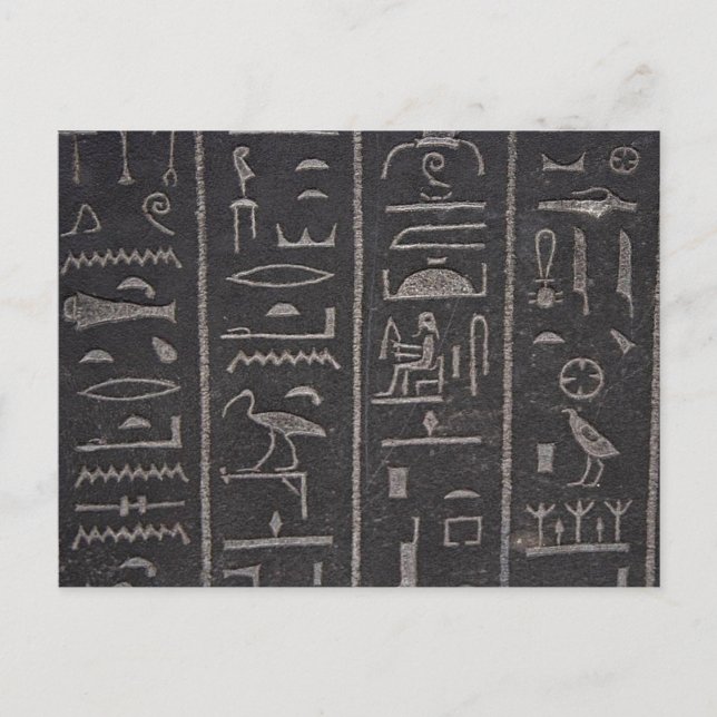 Egyptian Hieroglyphs Postcard (Front)