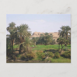 Egyptian Landscape Postcard
