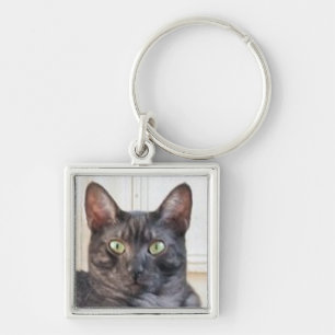 egyptian mau key ring