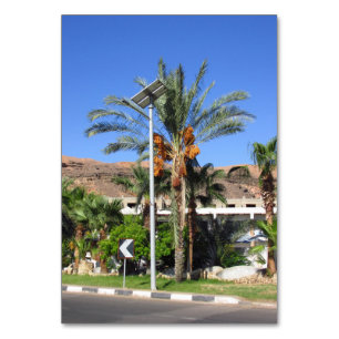 Egyptian palm trees  table number