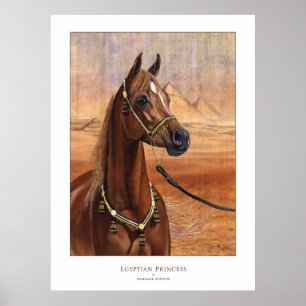 Egyptian Princess Arabian horse poster ALL SIZES