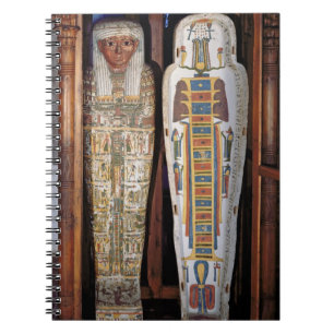 Egyptian sarcophagus covered with hieroglyphics (p notebook