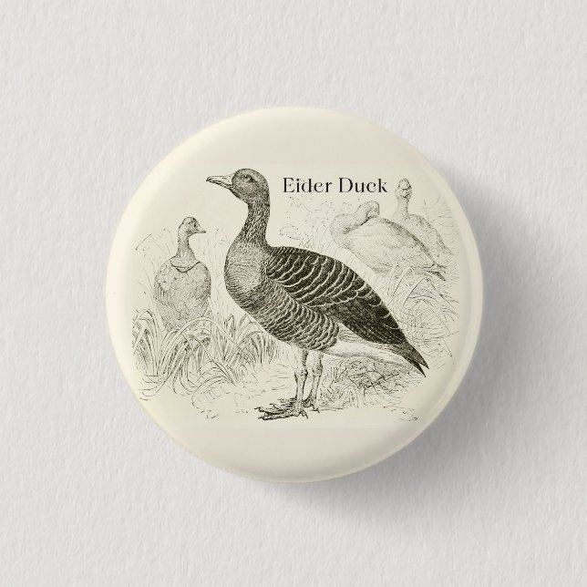  Eider Duck Button (Front)