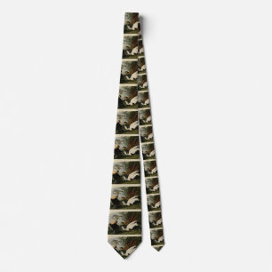 Eider Duck, Common Eider, Audubon Birds of America Tie