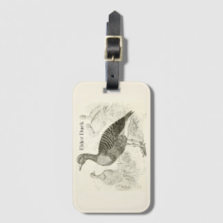Eider Duck Luggage Tag
