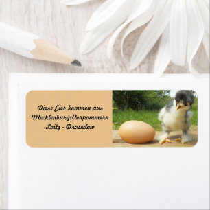 Eierverkaufsschild mit Kücken und Hühnerei Label Return Address Label