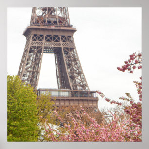 Eiffel Tower and Cherry Blossoms Poster