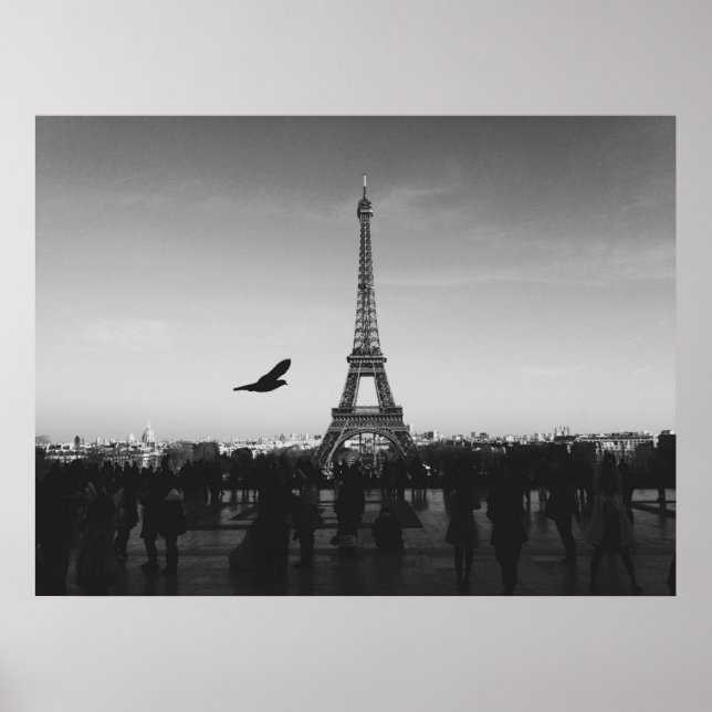 Eiffel Tower in black and white Poster (Front)