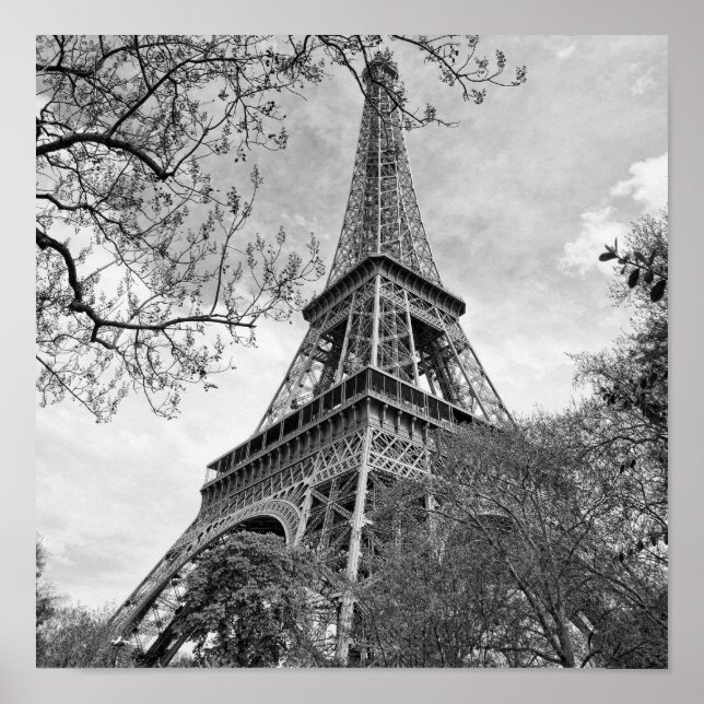 Eiffel tower Panorama Poster (Front)