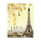 Eiffel Tower Paris City Rustic Vintage View