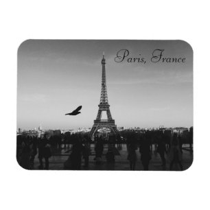 Eiffel Tower, Paris, France Magnet