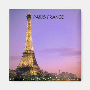 EIFFEL TOWER, PARIS FRANCE MAGNET