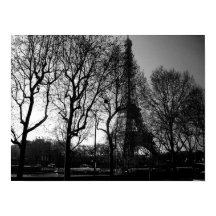 Eiffel Tower Through The Trees Poster
