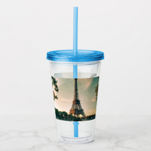 Eiffel tower throw pillow acrylic tumbler
