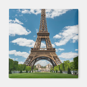 Eiffel Tower View from Champ de Mars Public Park Magnet
