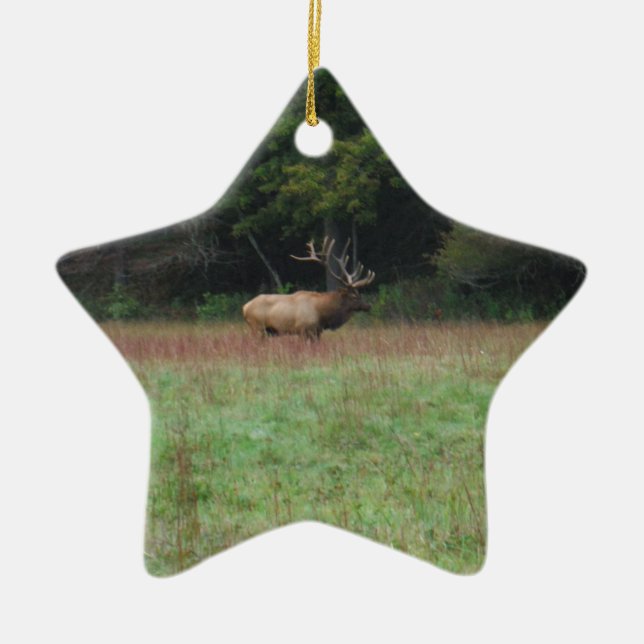 Eight 8 Point Bull Elk in Autumn Ceramic Ornament (Front)