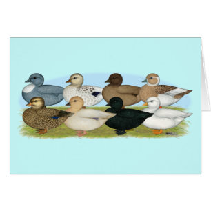 Eight Call Ducks