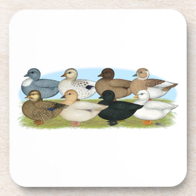 Eight Call Ducks Coaster (Front)