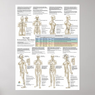 Eight Extra Acupuncture Extraordinary Meridians Poster