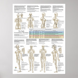 Eight Extra Acupuncture Extraordinary Meridians Poster