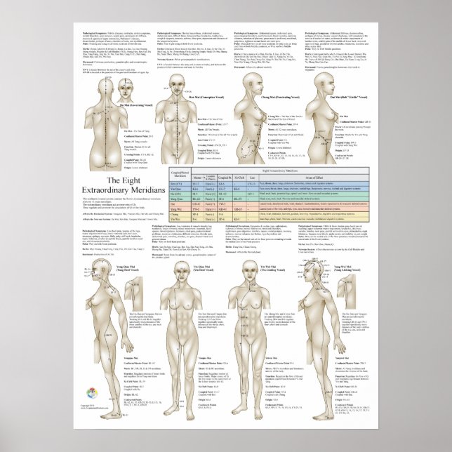 Eight Extra Acupuncture Extraordinary Meridians Poster (Front)