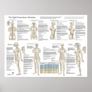 Eight Extra Acupuncture Extraordinary Meridians Poster