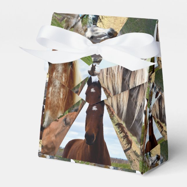 Eight Horse Triangles, Party Favour Box (Front Side)