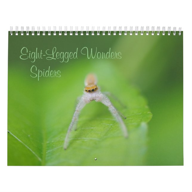 Eight-Legged Wonders - Spiders Calendar (Cover)