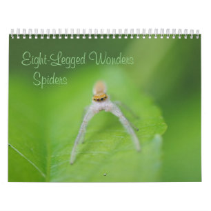 Eight-Legged Wonders - Spiders Calendar