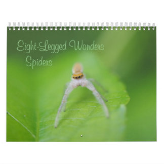 Eight-Legged Wonders - Spiders Calendar
