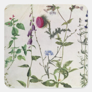 Eight Studies of Wild Flowers Square Sticker