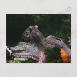 Eight Ways To Grab Postcard