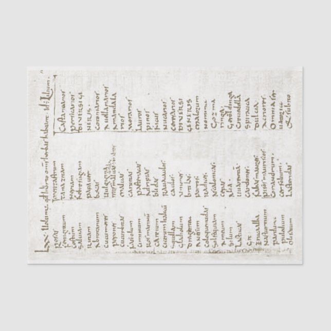 Eighth century garden plants tissue paper (Front)