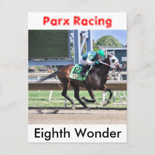Eighth Wonder by Pioneer of the Nile Postcard
