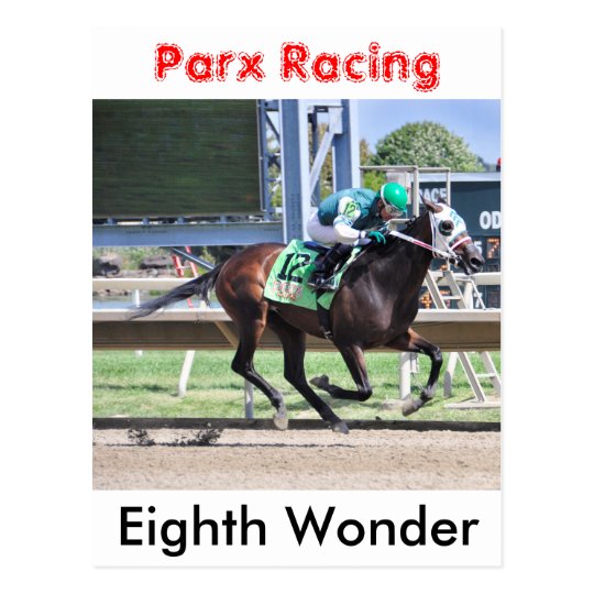 Eighth Wonder by Pioneer of the Nile Postcard