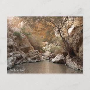 Ein Bokek, Israel. Postcard