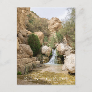 Ein Gedi Nature Reserve view postcard