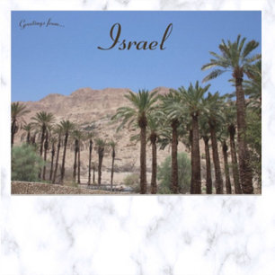 Ein Gedi Southern District Israel Postcard