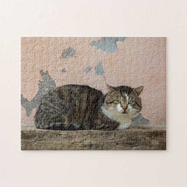 Eine Katze vor alter Mauer Jigsaw Puzzle (Horizontal)