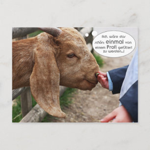 ...einmal von einem Profi gefüttert zu werden... Postcard