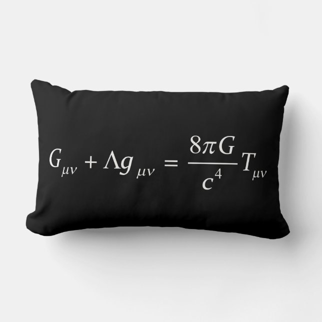 Einstein field equation lumbar cushion (Front)